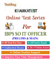 Ibps Crp So It Officers Prelims and Main Exam 3 month