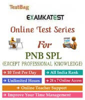pnb specialist officer online test papers